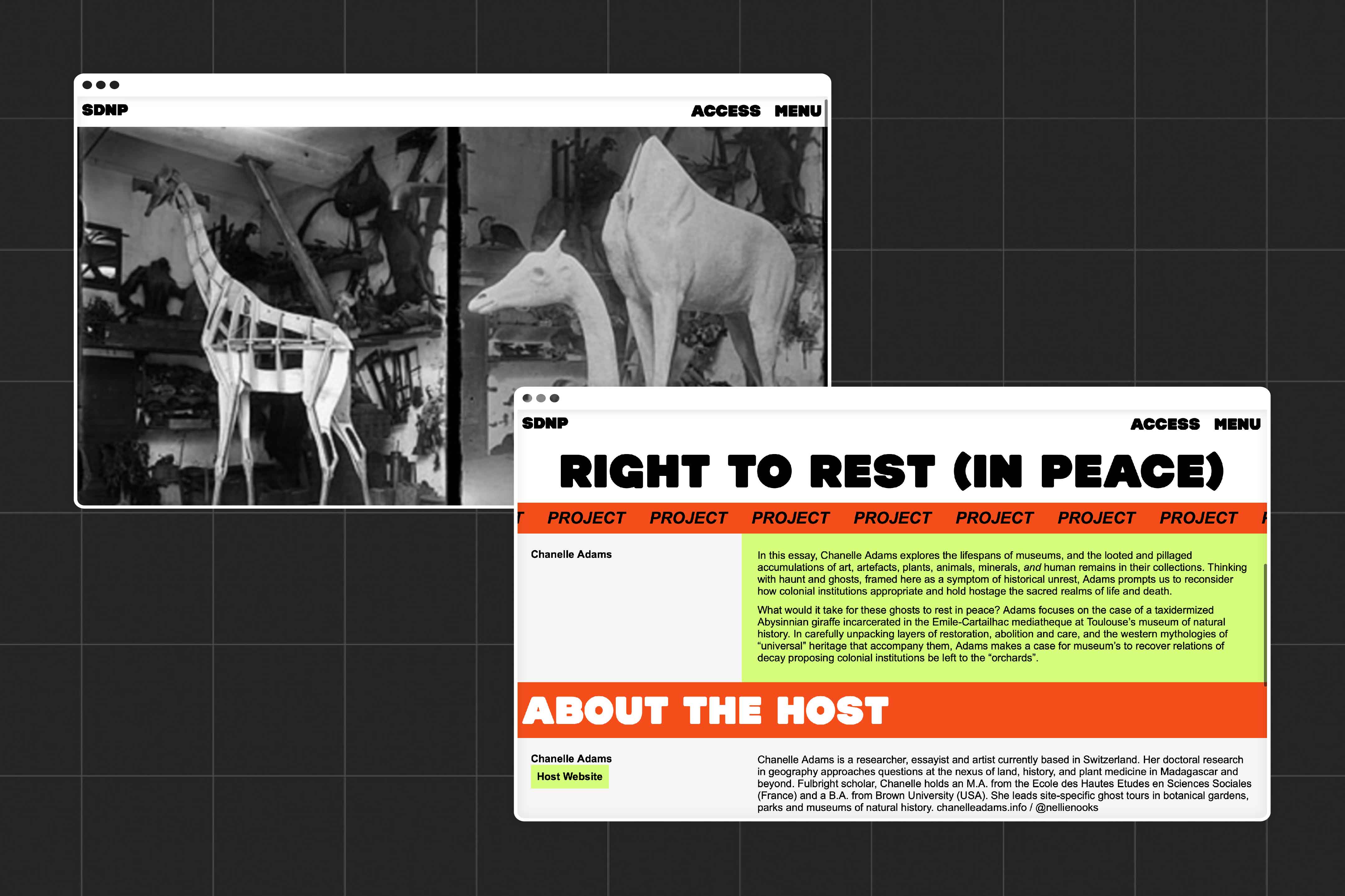 Two further images showing a project which was part of the SDNP festival, the one on display here uses an image of a taxidermy giraffe, and is entitled 'Right to Rest (in Peace)'. The second image on display shows information about the project and the project host